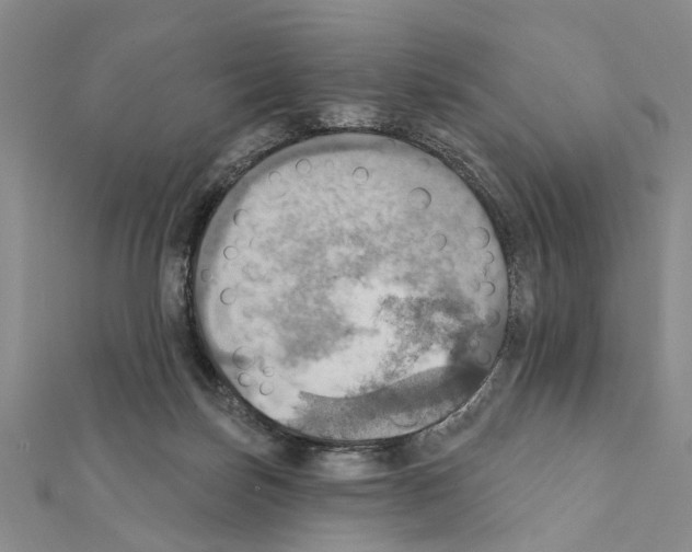 X0000111360171200908211304