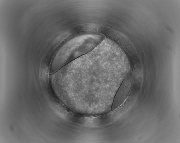X0000111360172200908211304