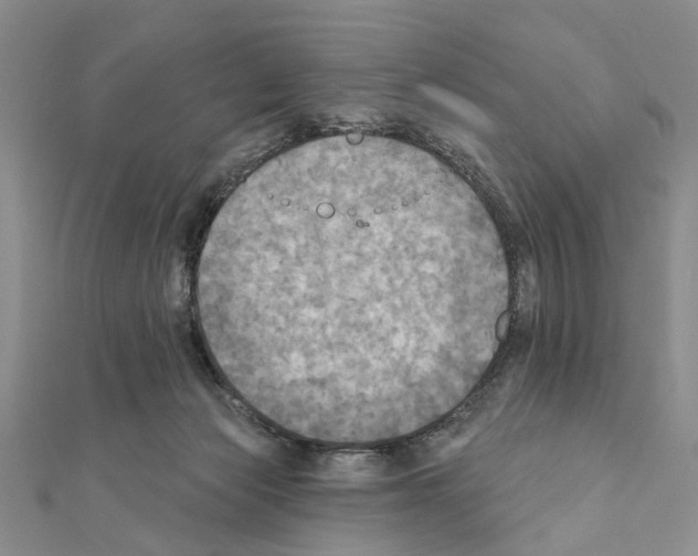 X0000111360173200908211304
