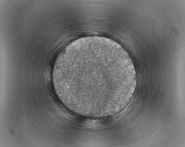 X0000111360174200908211304