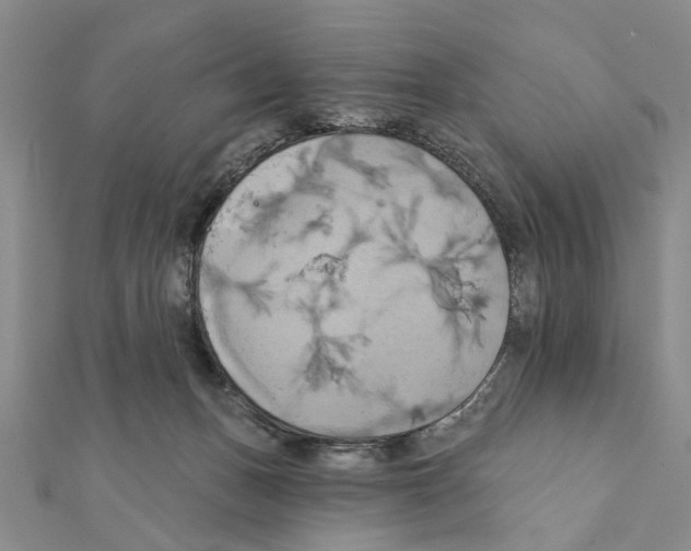 X0000111360175200908211304