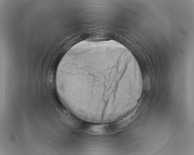 X0000111360178200908211304
