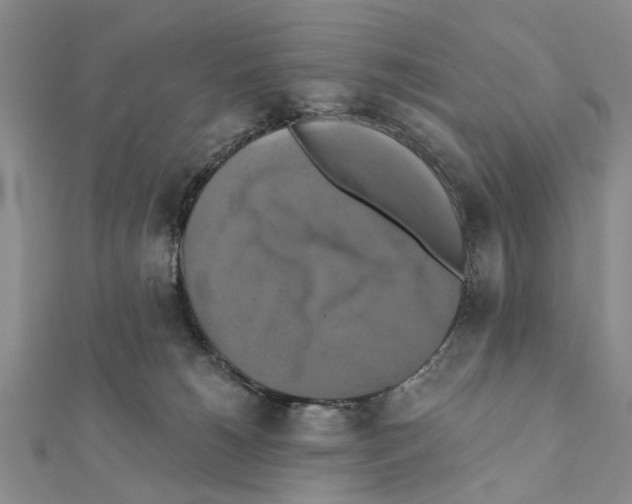 X0000111360180200908211304