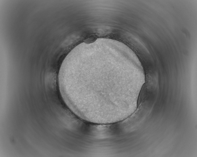 X0000111360184200908211304