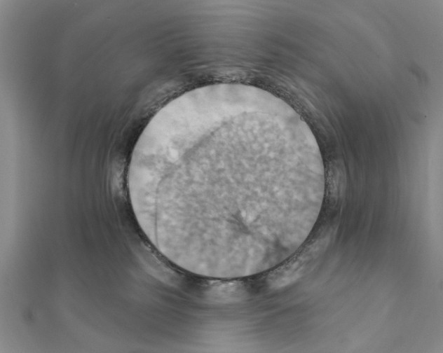 X0000111360185200908211304
