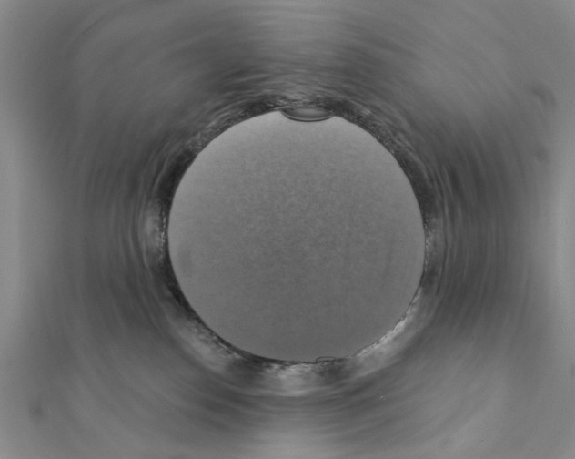 X0000111360186200908211304