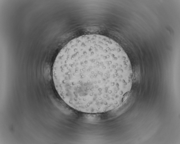 X0000111360187200908211304