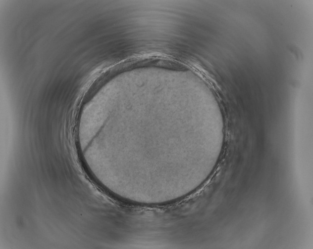 X0000111360193200908211304