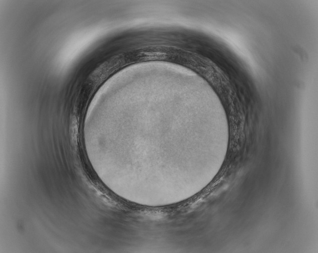 X0000111360194200908211304