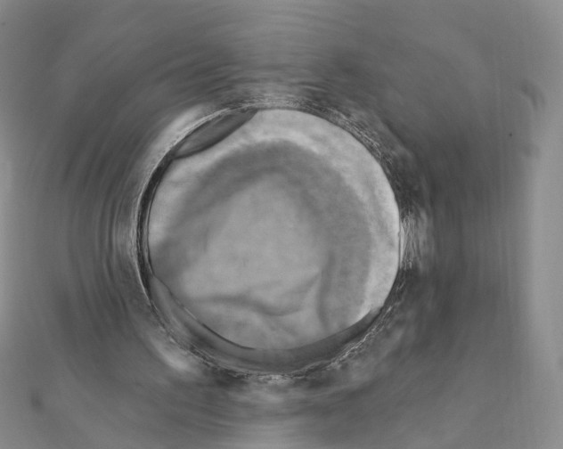 X0000111360195200908211304