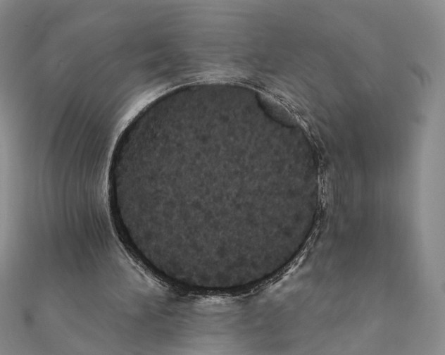 X0000111360196200908211304