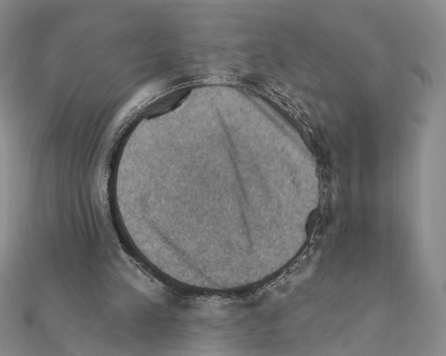 X0000111360197200908211304