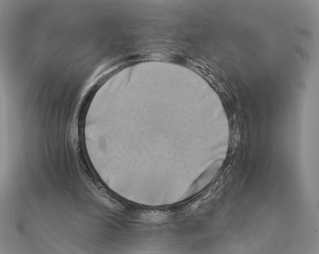 X0000111360198200908211304
