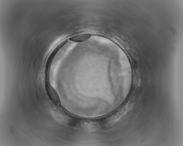 X0000111360199200908211304