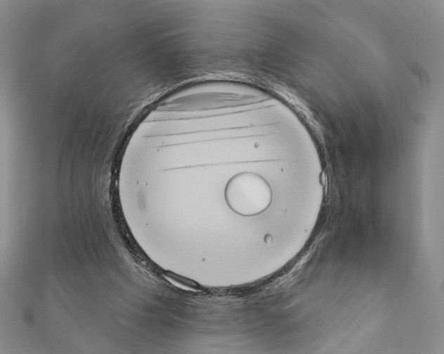 X0000111360201200908211304