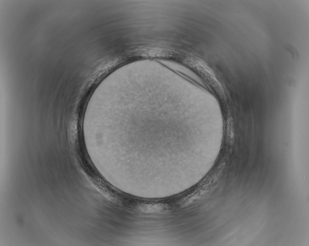 X0000111360202200908211304