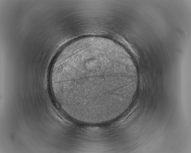 X0000111360203200908211304