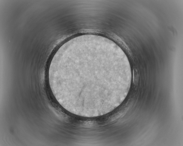 X0000111360204200908211304