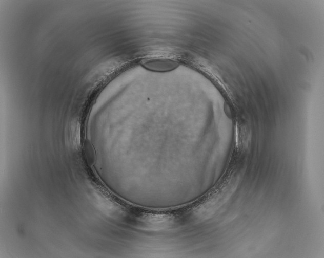 X0000111360205200908211304