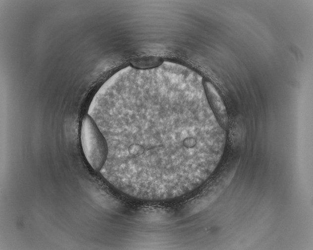 X0000111360207200908211304