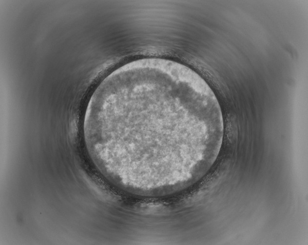 X0000111360208200908211304
