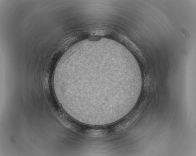 X0000111360209200908211304