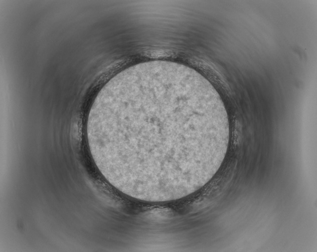 X0000111360210200908211304
