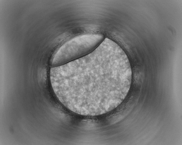 X0000111360211200908211304