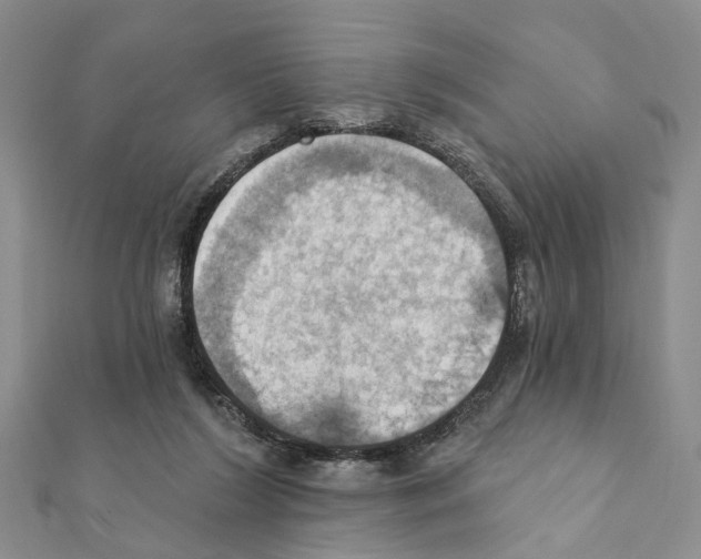 X0000111360212200908211304