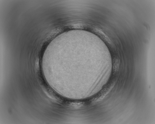 X0000111360213200908211304