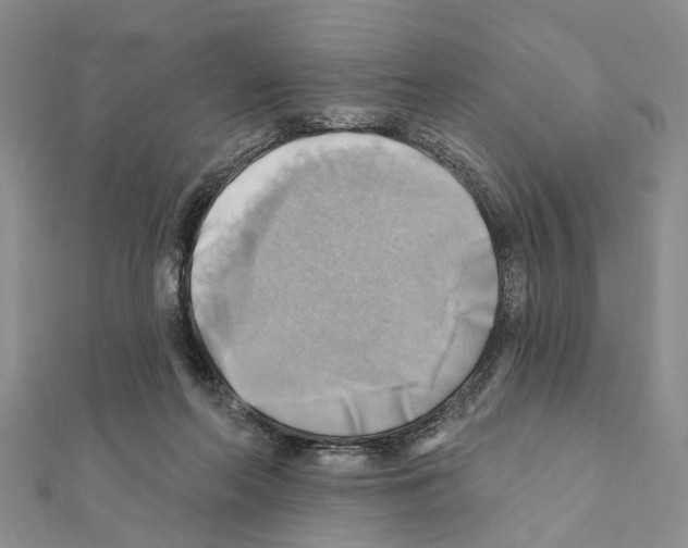 X0000111360214200908211304