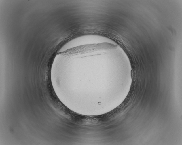 X0000111360215200908211304