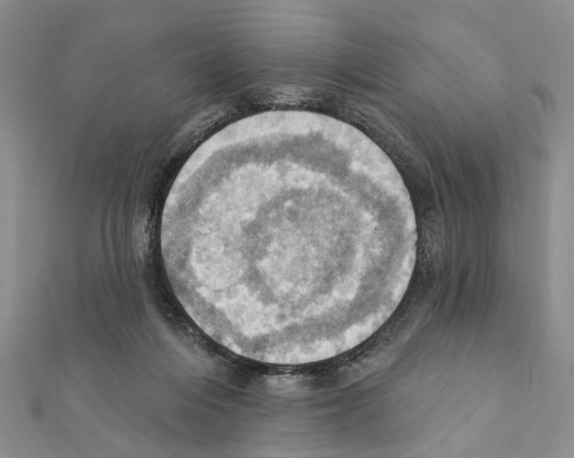 X0000111360216200908211304