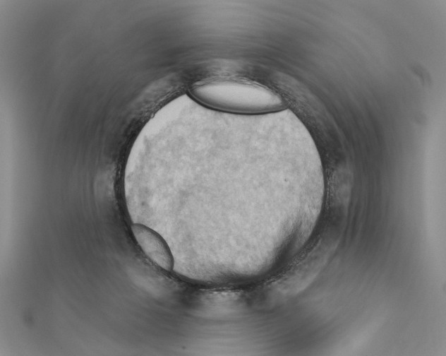 X0000111360217200908211304