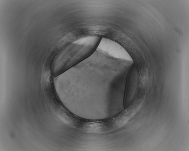 X0000111360219200908211303