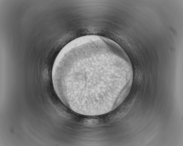 X0000111360220200908211303