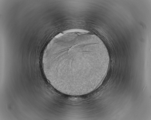 X0000111360221200908211303
