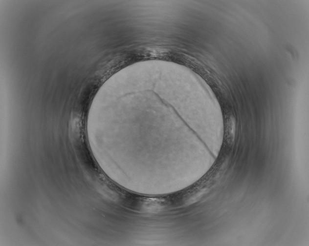 X0000111360222200908211303