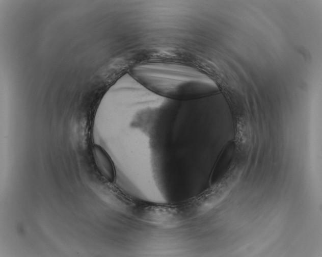 X0000111360223200908211303