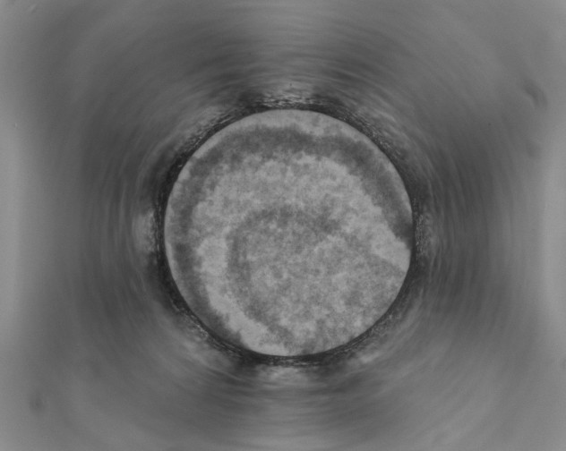 X0000111360224200908211303
