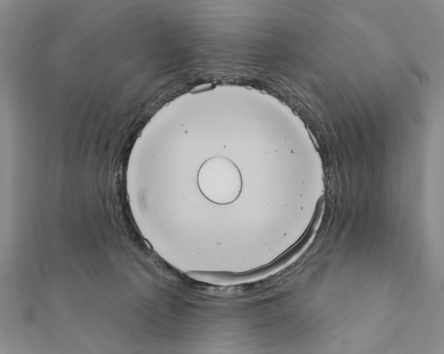 X0000111360225200908211303