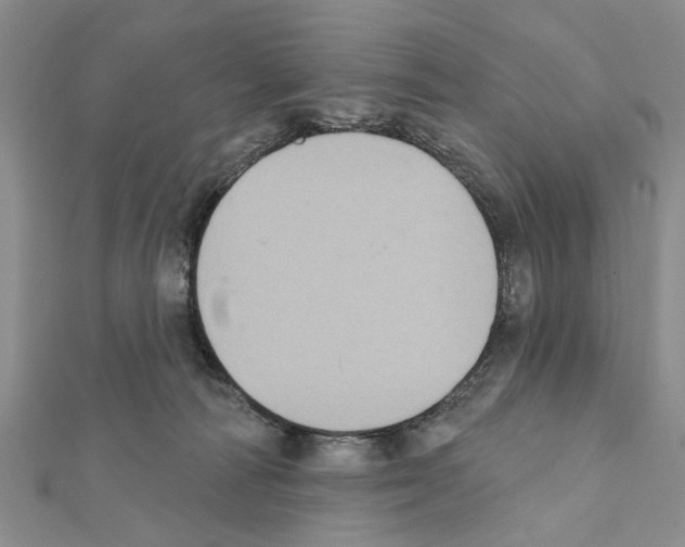 X0000111360226200908211303