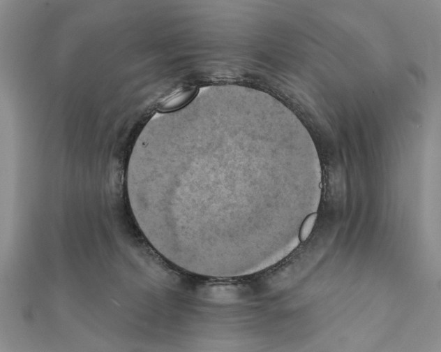 X0000111360228200908211303