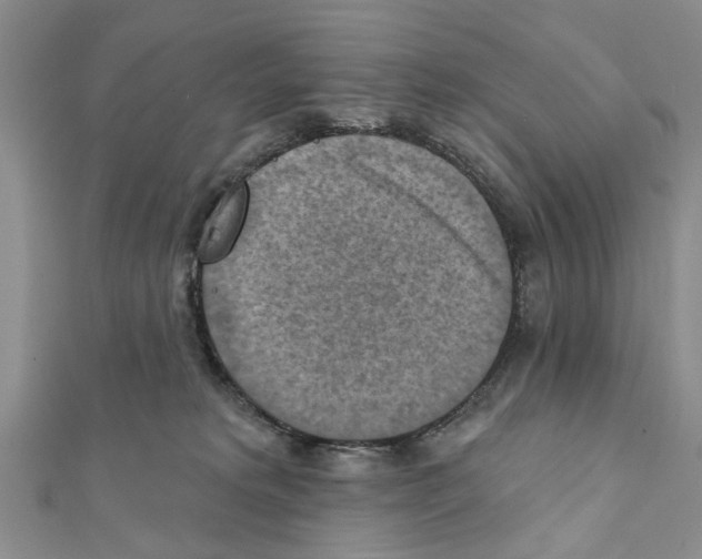 X0000111360229200908211303