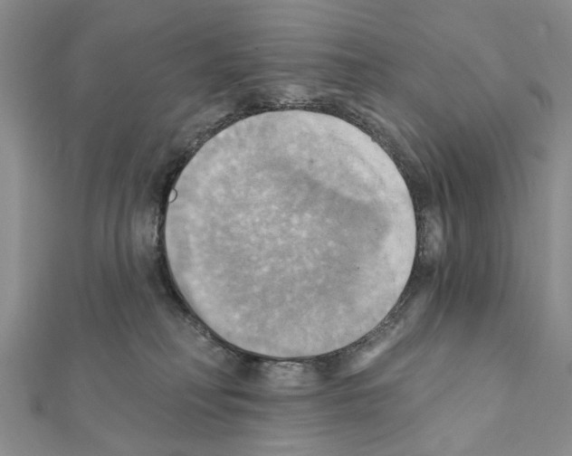 X0000111360230200908211303