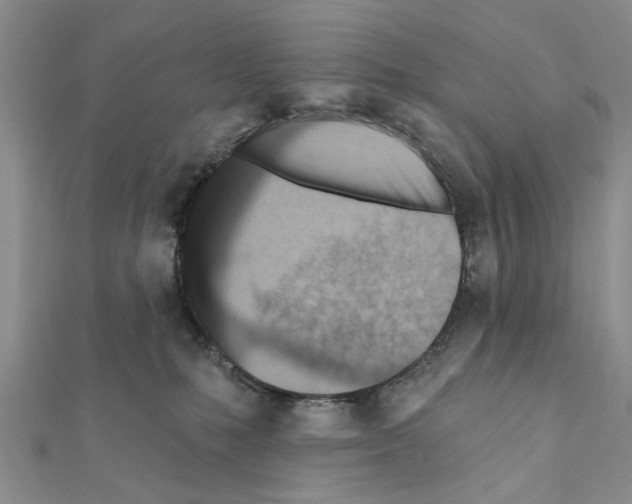 X0000111360231200908211303