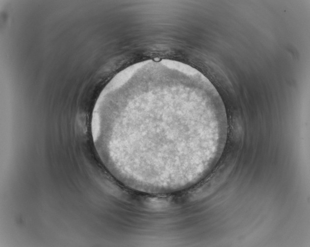 X0000111360232200908211303