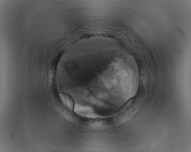 X0000111360235200908211303