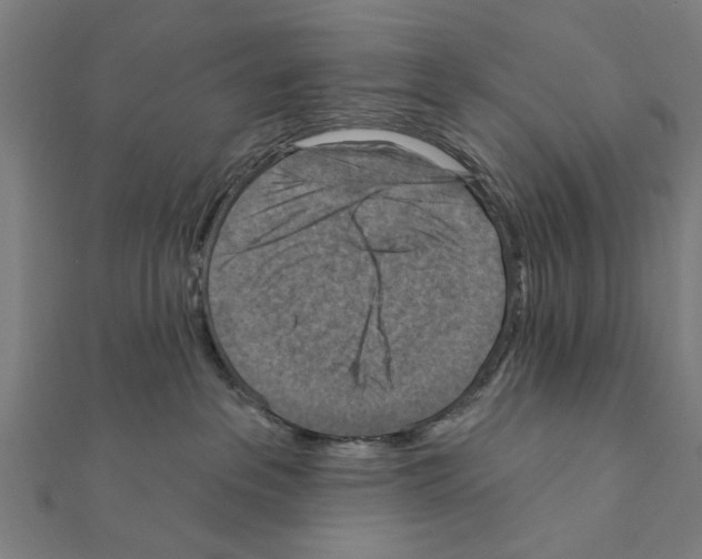 X0000111360237200908211303