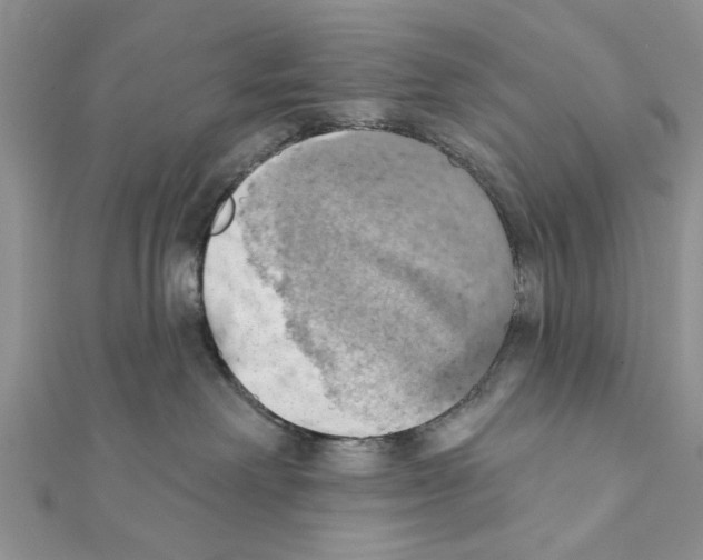 X0000111360238200908211303